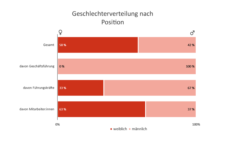 Geschlechterverteilung nach Positionin der Österreichischen Energieagentur, Stand 31.12.2023. Gesamt: 58% weiblich, 42% männlich. davon Geschäftsführung: 100% männlich. Davon Führungskräfte: 33% weiblich, 67% männlich. davon Mitarbeiter:innen: 63% weiblich, 37% männlich