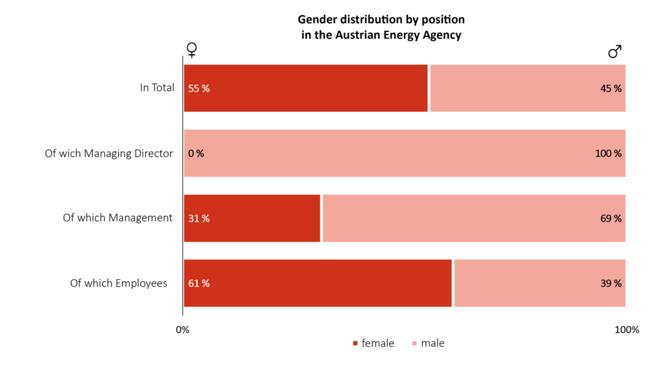 This graphic shows the gender distribution across different position levels: Leadership: 55% women, 45% men. Assistant roles: 100% women. Scientific staff: 69% women, 31% men. Other employees: 61% women, 39% men.