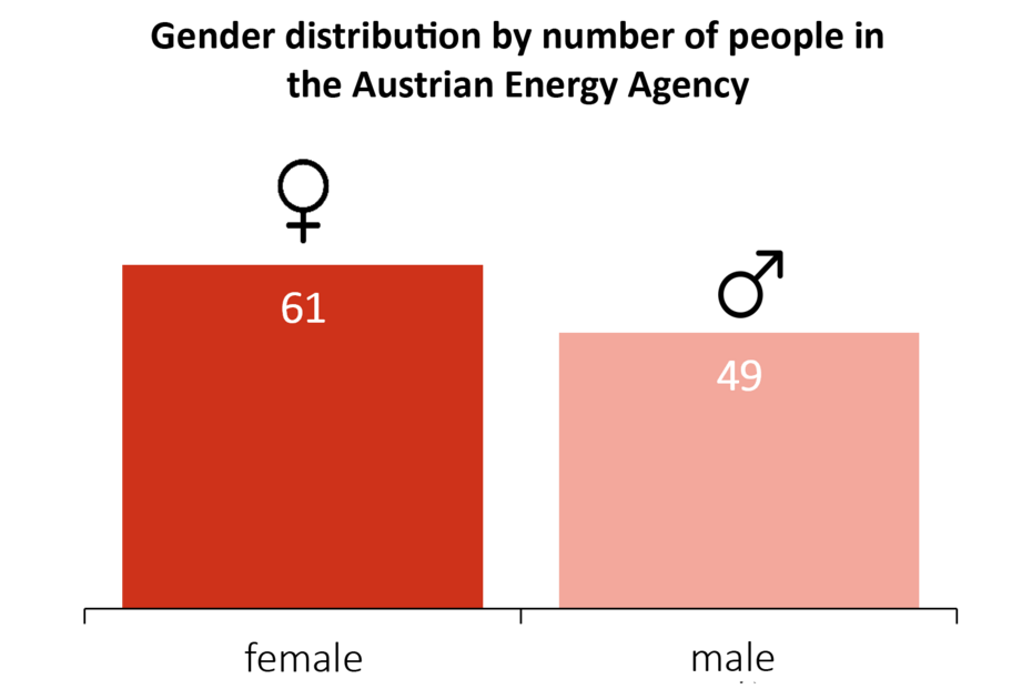 This graphic shows the total number of men and women in AEA in 2024. 61 individuals are women. 49 individuals are men.