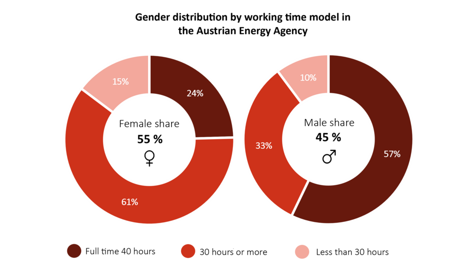 This graphic shows the gender distribution across different work time models. In part-time positions, 61% are women, 24% are men. In full-time positions, 57% are men, 33% are women. The remaining 15% (part-time) and 10% (full-time) account for other genders or unspecified.