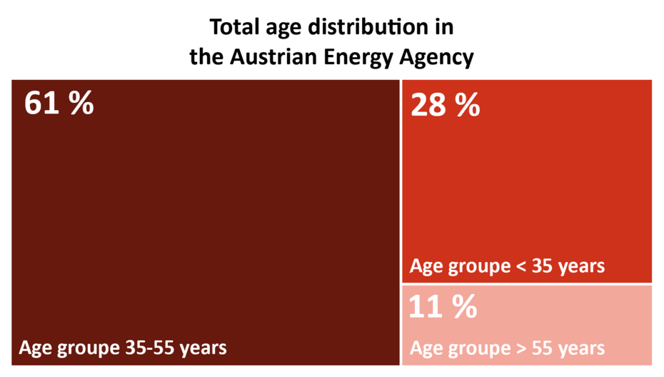 This graphic shows the age distribution of AEA members in 2024. 61% are in the 35–55 age group. 28% are younger than 35 years. 11% are older than 55 years.